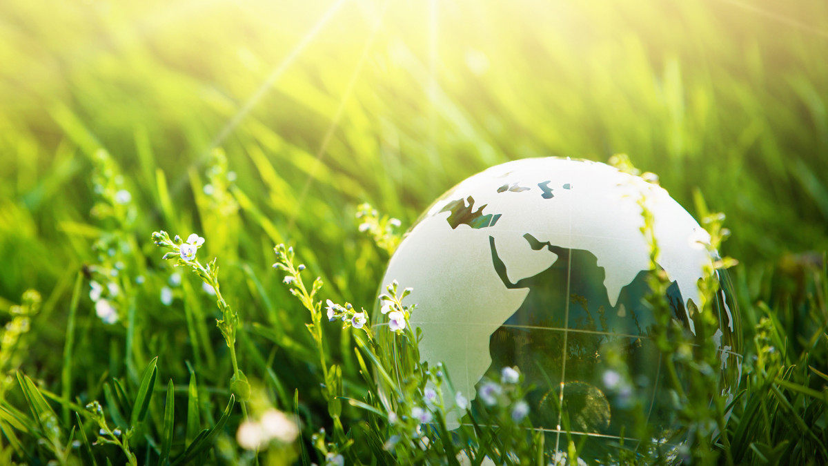 Environment Protection Environment Protection