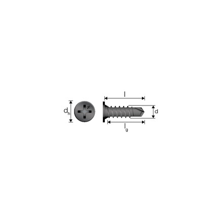 FSM phos dim image.jpg